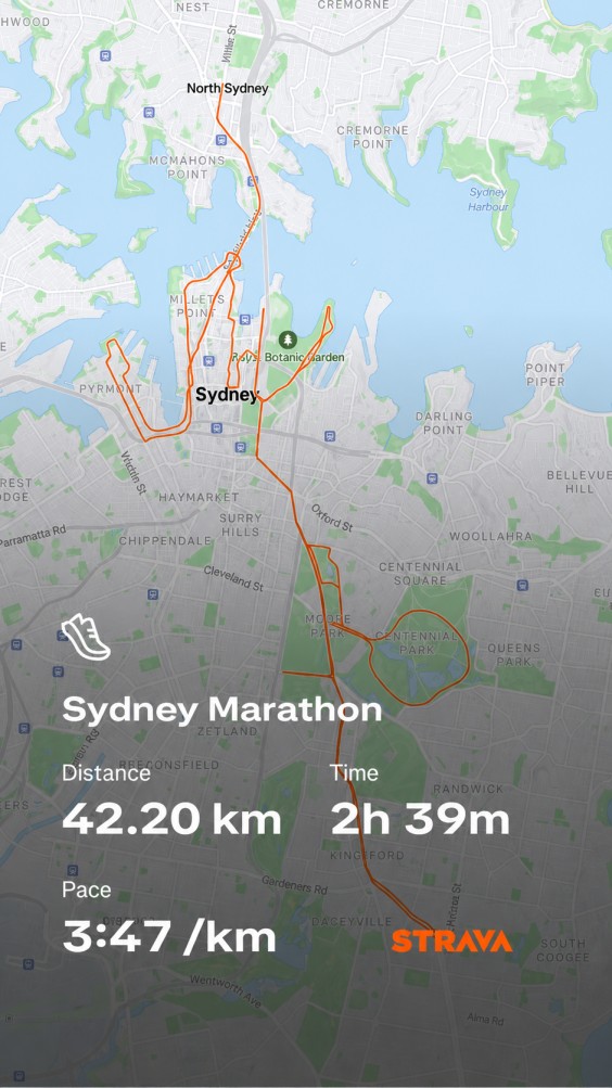 Raw Strava GPS route on a phone screen